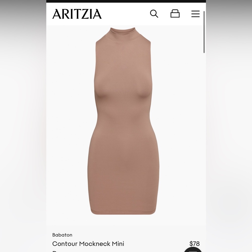Aritzia Babaton Mockneck Bodycon Mini Dress